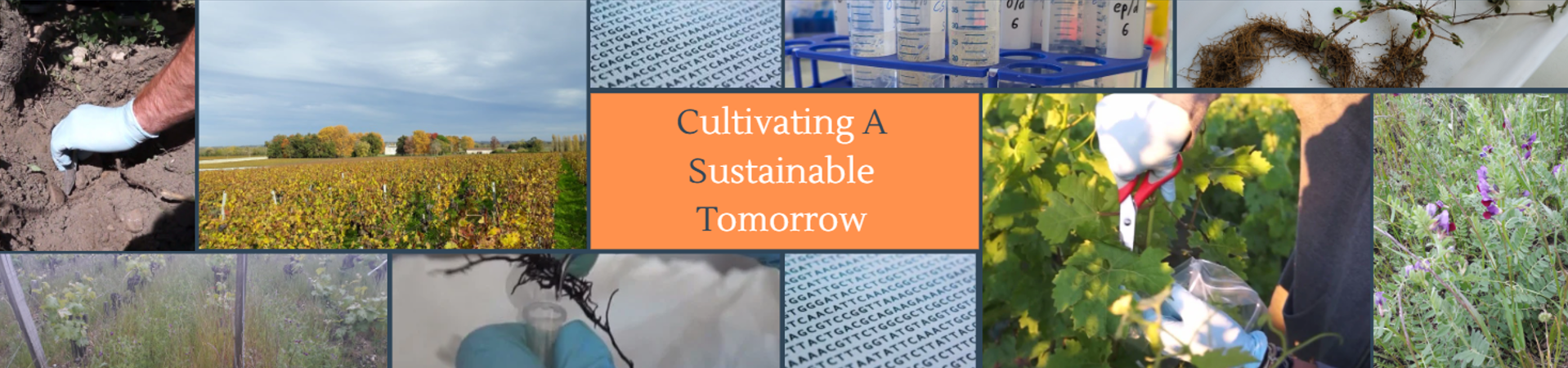 Cultivating a Sustainable Tomorrow>